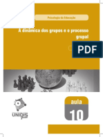 Aula 10 - A Dinâmica Dos Grupos e o Processo PDF