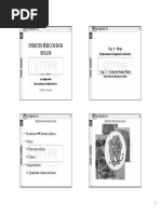 Indices Fisicos - Izzo