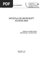 Apostila Access 2000