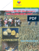 Cultivo del ajo. N° 84. Gobierno de Chile