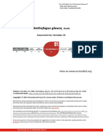 Nothofagus Glauca,: Assessment By: González, M