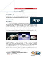ExperimentosConCO2 PDF