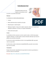 Eritroblastosis Fetal