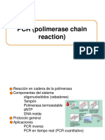 Tipos de PCR3