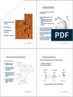 CGenetico&Traduccion.pdf