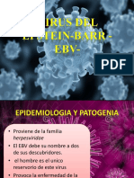 Micro Virus Del Epstein-Barr - EBV