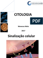 Sinalização Celular e Citoesqueleto