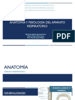 Anatomía y Fisiología Del Aparato Respiratorio