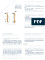 T8 - Lordosis, Kifosis, Skoliosis