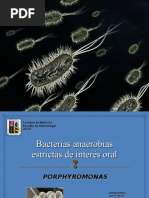 Download Porphyromonas by Jaime_Aguila_708 SN36022181 doc pdf