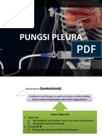 Pungsi Pleura