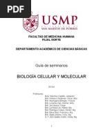 Download Guia Seminarios BioCelMol USMP-Filial Norte 2010 by Jampieer Sanchez Castillo SN36023121 doc pdf