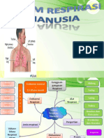 Sistem Penafasan