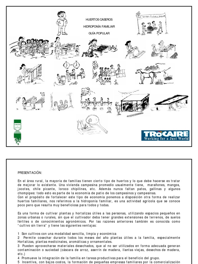 Cmo Cultivar Lechuga Hidropnica Orgnica  El Horticultor