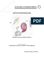 Libro Inmunoquimica PDF