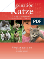 Faszination Katze 