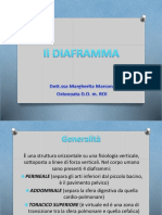 Diaframma PDF