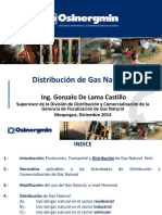 01 Distribución de Gas Natural PDF
