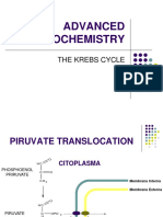 Advanced Biochemistry: The Krebs Cycle