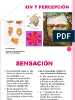 Sensacion y Percepción Diapositivas