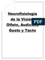 Neurofisiologia