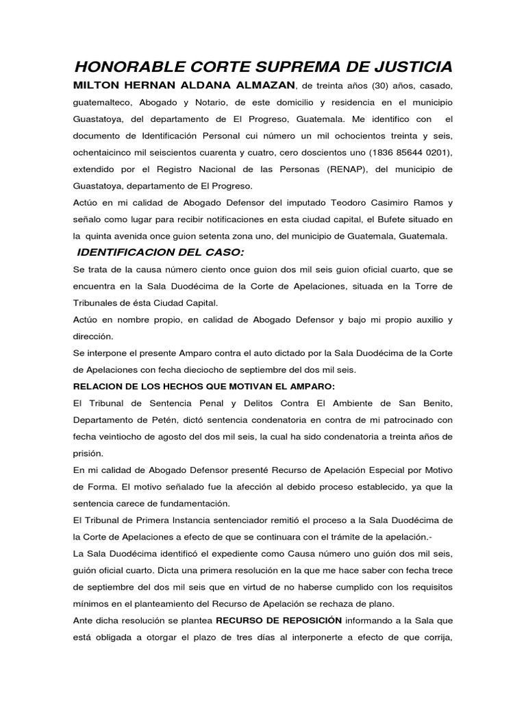 Amparo por Debido Proceso Penal | PDF | Apelación | Ley procesal