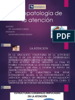 Psicopatología de La Atención