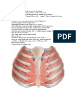 Transversus Thoracis - Doc Syifa