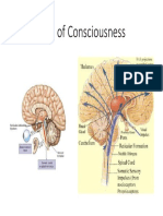 Physiology of Consciousness