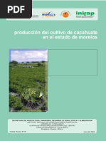 Cacahuatepdf - 