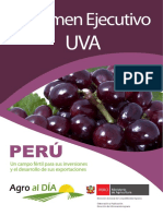 Cadena Uva