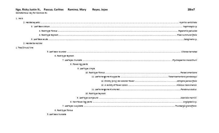 Dichotomous Key for Plant Identification | PDF | Horticulture And ...