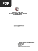 Ensayo Sobre Nacionalidad