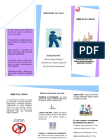 Follete Manejo de Cargas PDF