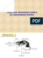 Pengendalian Tikus