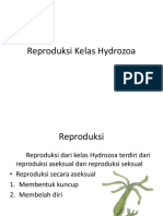 Reproduksi Kelas Hydrozoa-1.pptx