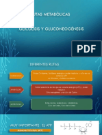 Rutas Metabólicas