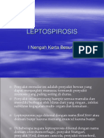 Leptospirosis Dan Erysipelas 1490869053