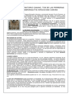 Complejo respiratorio canino, tos de las perreras o traqueobronquitis infecciosa canina