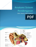 Anatomi Sistem Pendengaran