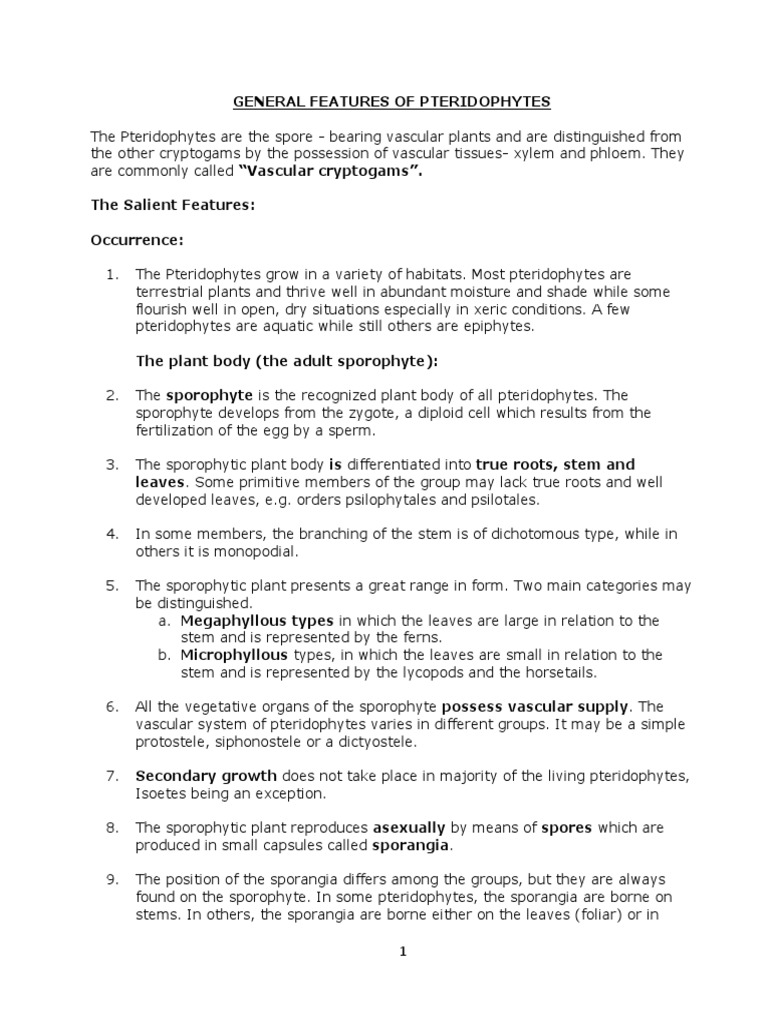 General Features of Pteridophytes | PDF | Seed | Sexual Reproduction