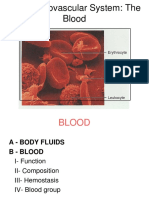 Cardiovascular Blood