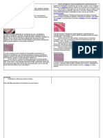 Tecidos Do Corpo Humano e Células
