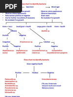 Bacterial ID Flowchart | PDF | Streptococcus | Staphylococcus
