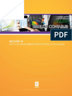 Activos Intangibles Distintos Plusvalia PDF