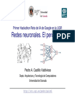 Presentacion Redes Neuronales