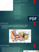 L ABERINTITIS