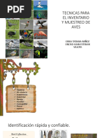 Metodología de Muestreo Macroinvertebrados y Red Surber | PDF ...