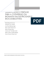 BiocombustiveisCap06.pdf