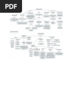 Semejanzas y Diferencias Entre La Contabilidad Publica y 